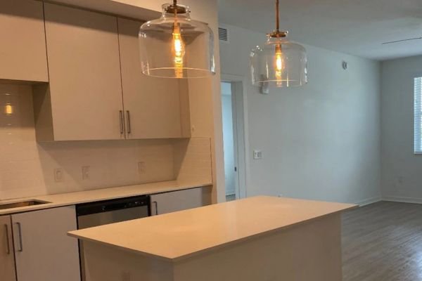 Move-In and Move-Out Cleaning